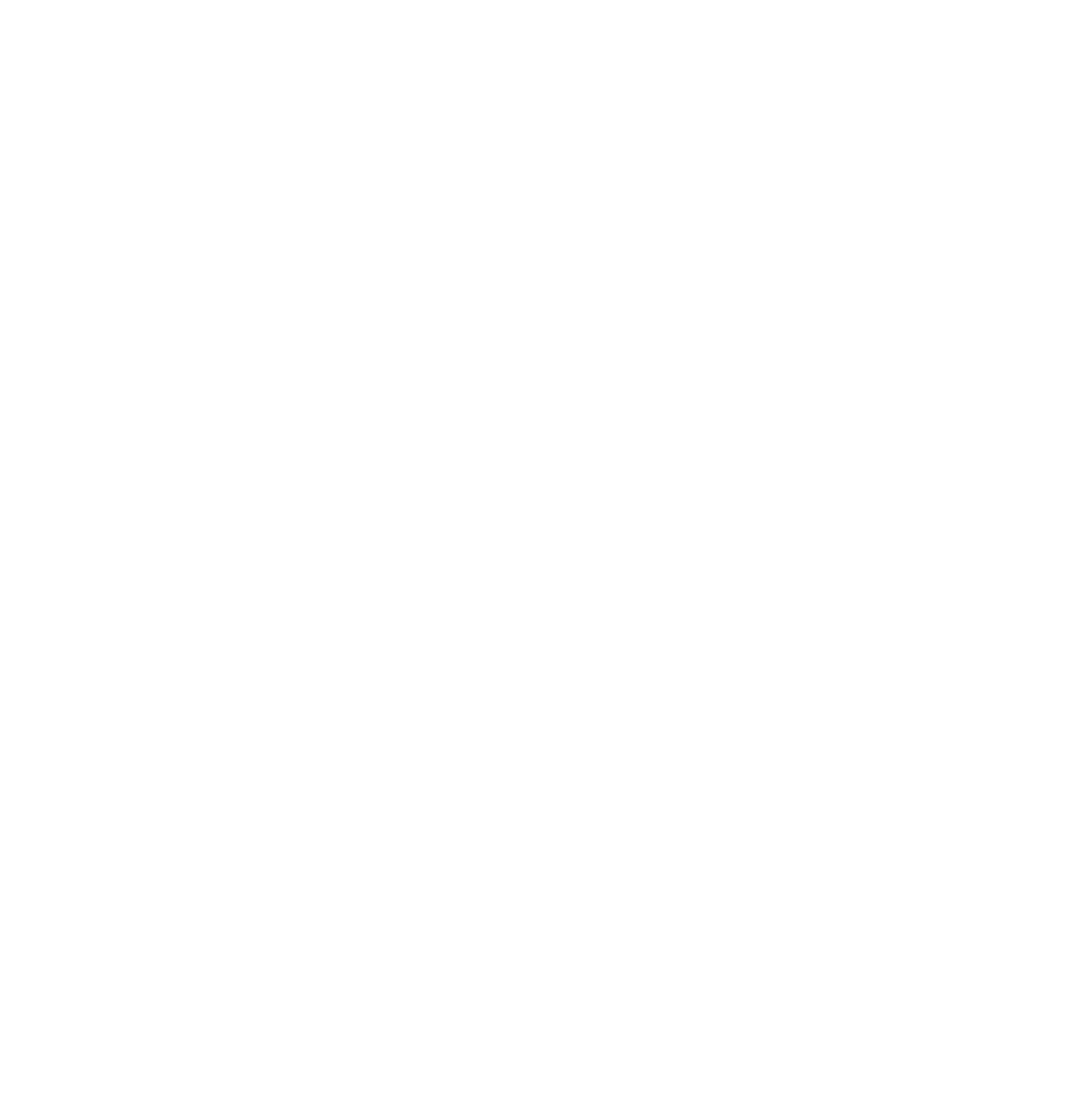 SPIM Project